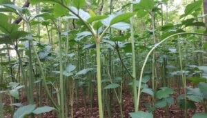 découvrez le programme humanités, littérature et philosophie (hlp) : ses contenus riches et variés, ainsi que les débouchés professionnels qu'il offre pour les passionnés de culture, réflexion et création.